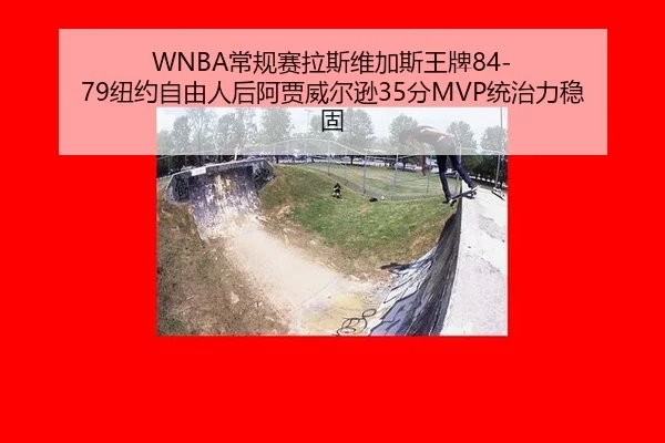 chang-gui-sai-la-si-wei-jia-si-wang-pai-niu-yue-zi-you-ren-hou-a-jia-wei-er-xun-fen-tong-zhi-li-wen-gu-2-373.jpg